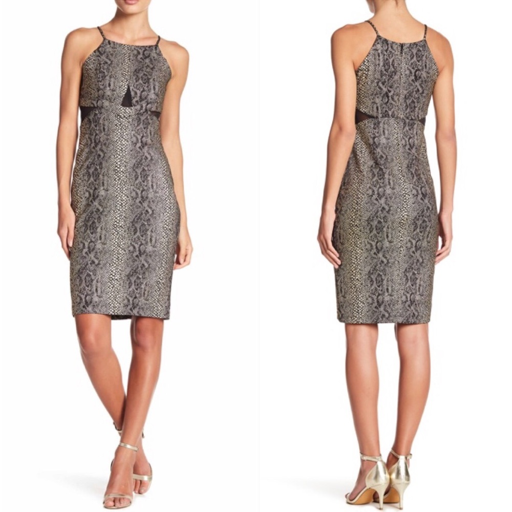 NWT Bebe Snakeskin Print Bodycon Dress Mesh Insert Sleeveless Sz 4